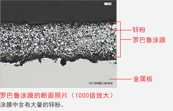 ローバルの塗膜断面写真 （1000倍拡大写真） 塗膜中に非常に多くの亜鉛末が含まれているのがわかります。